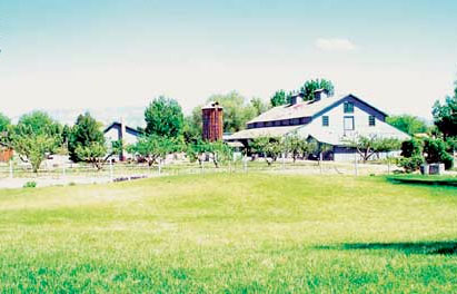 Cross Orchards