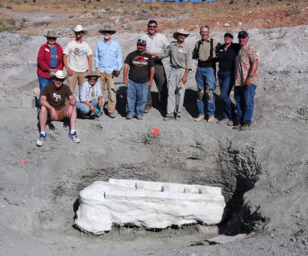 Famous Fossil Sites of the Grand Valley - Museums of Western Colorado